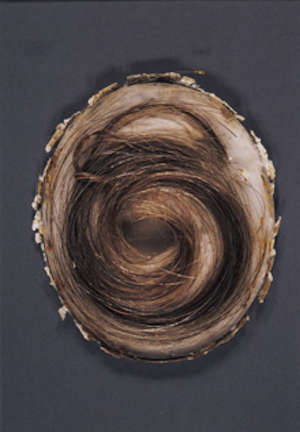 Beethoven hair