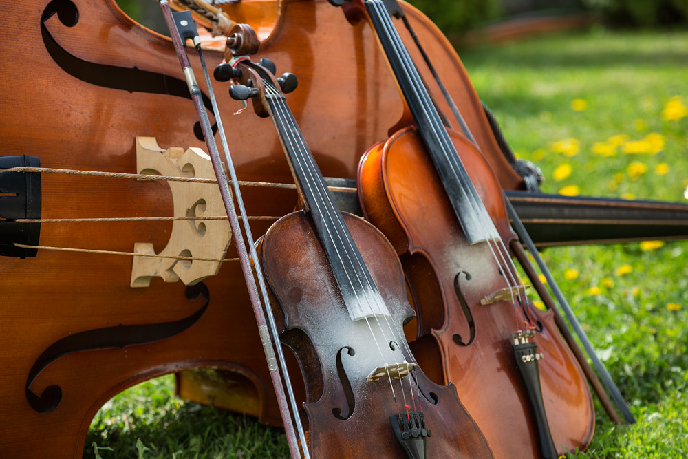 large violin like stringed instrument