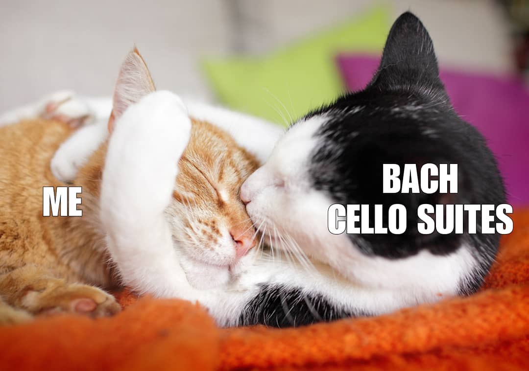 Bach hug