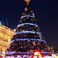Image 4: Outside Christmas Tree