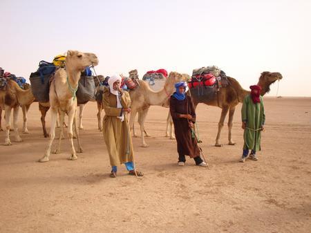 Trek Sahara - The Cameleers