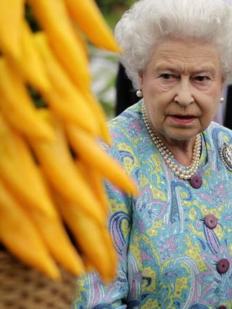 Chelsea Flower Show