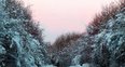 Image 6: Snow Pictures 2010