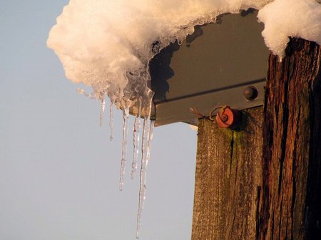 Snow Pictures 2010