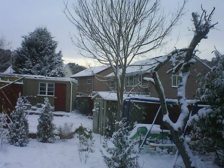 Snow Pictures - 20 December
