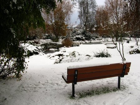 Snow Pictures - 20 December