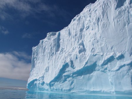 Polar RLPO