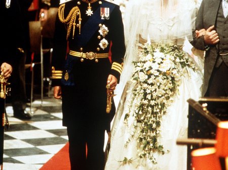 charles and diana