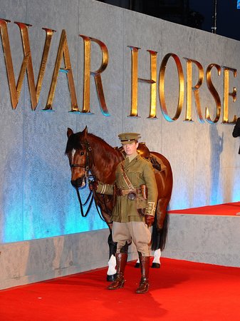 War Horse Royal Premiere