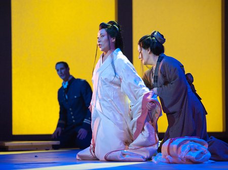 Madame Butterfly in 3D
