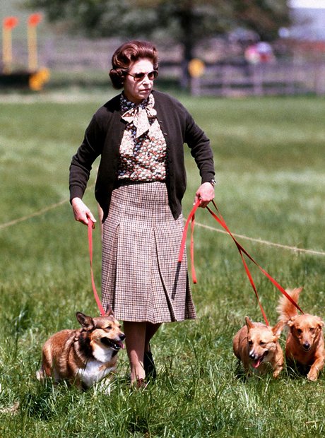 Walking Her Dogs
