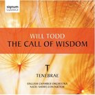 will todd - the call of wisdom