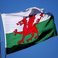 Image 7: Welsh flag dragon