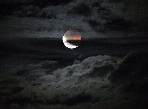 moonlight