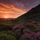 Image 6: pastoral scene heather