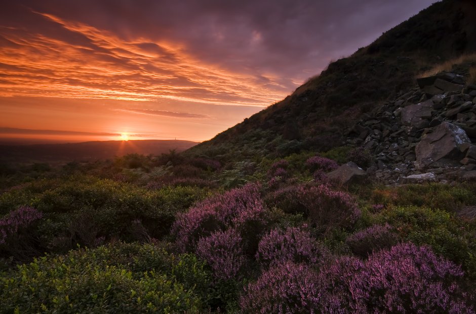 pastoral scene heather