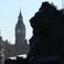 Image 10: trafalgar square lion big ben