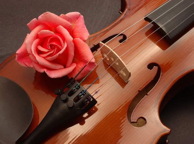 rose and violin