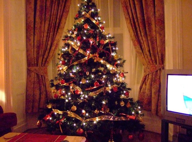 christmas tree tv lights