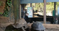 Richard Clayderman plays piano at London Zoo