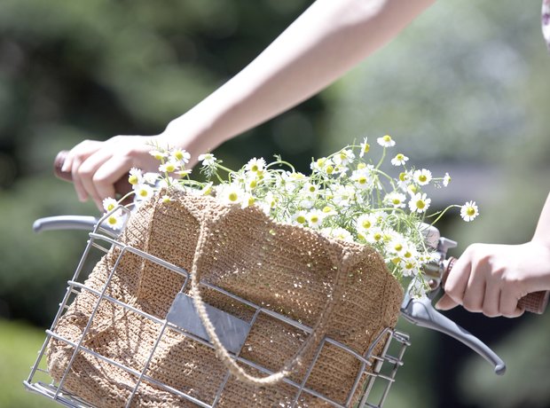 flowers in bicycle basket