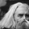 Image 6: Composers with cats as beards