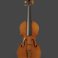Image 6: The Messiah Stradivarius