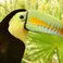 Image 8: Green toucan