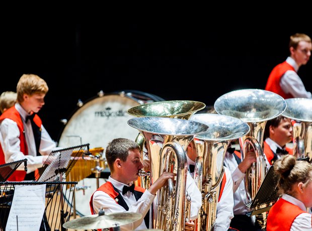 Wardle High School Band