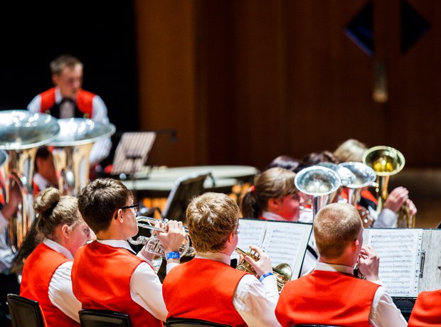 Wardle High School Band