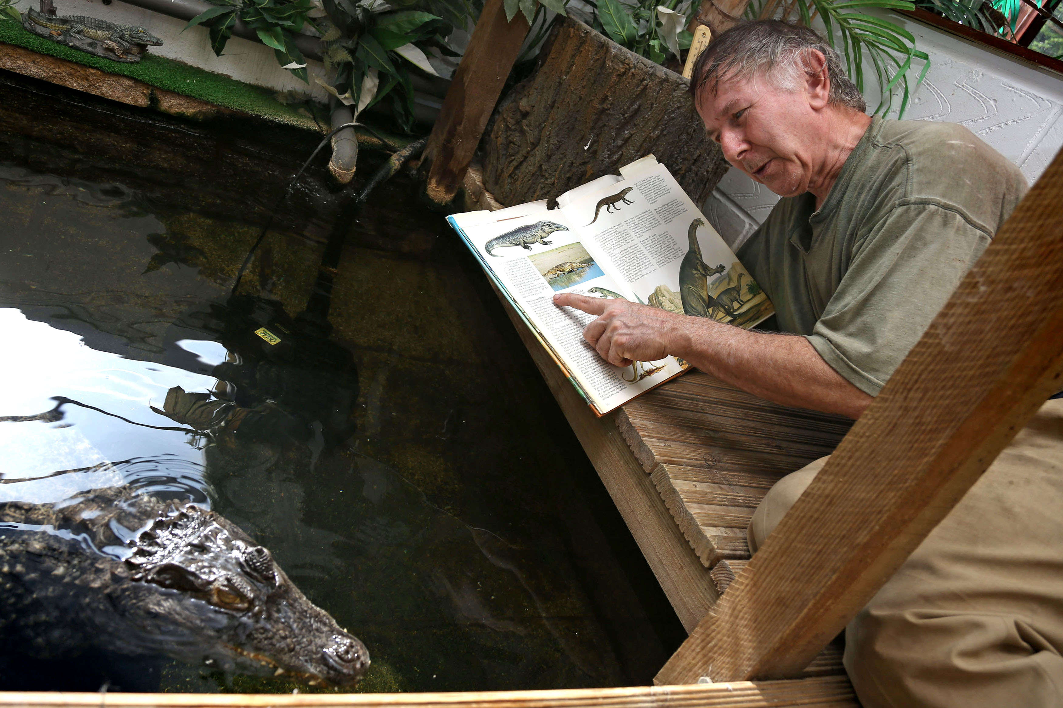 Crocodile listens to Classic FM - Classic FM