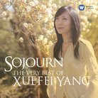 Xuefei Yang Sojourn