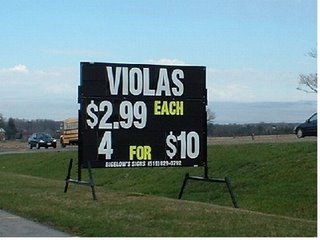 viola sale