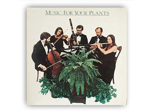 Music For Your Plants