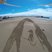 Image 9: Schubert sand drawing on Elie Beach