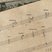 Image 1: Composer treble clefs