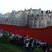 Image 1: Tower London Poppies