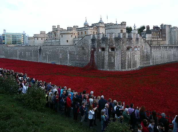 Tower London Poppies