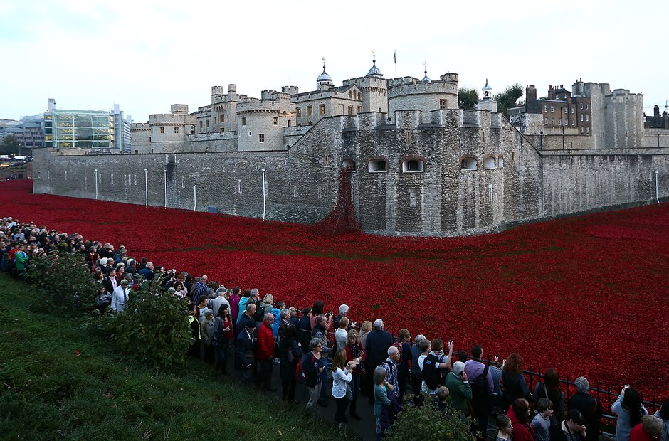 Tower London Poppies