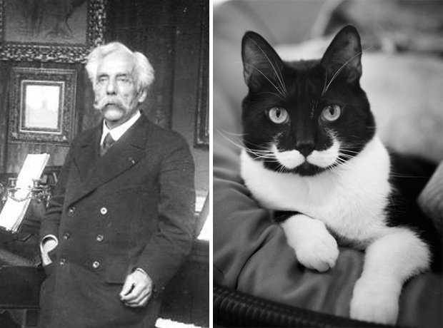 Cat composer lookalike Fauré