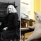 Image 1: Cat composer Liszt