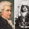 Image 8: Cat composer lookalike Mozart