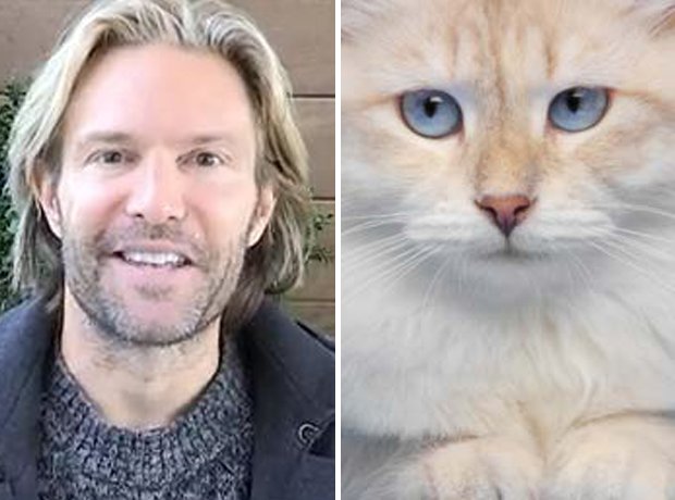 Cat composer lookalike Whitacre