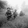 Image 6: Operation Epsom Normandy bagpipes