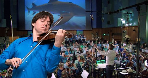 Joshua Bell shark