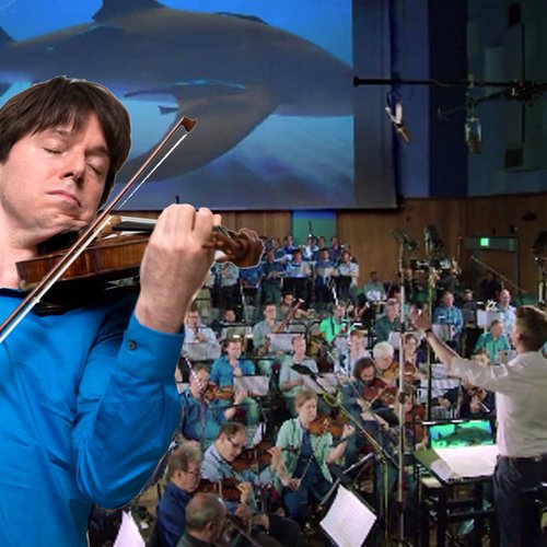 Joshua Bell shark