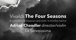 Vivaldi Four Seasons Serenissima Chandler