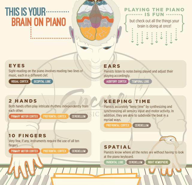 Piano infographic