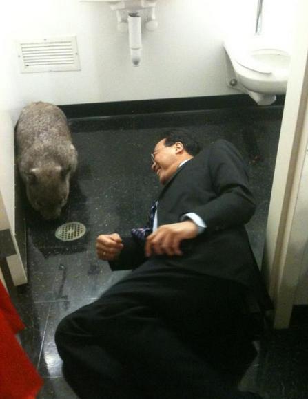 yo-yo ma with a wombat