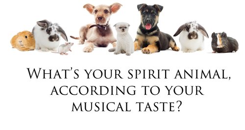 What's your spirit animal